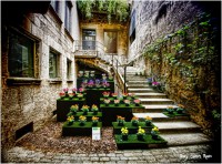 /album/fotogaleria-girona/mg-8882-640x480-jpg/